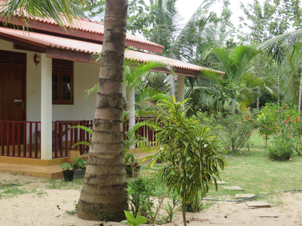 Beach Lagoon Guesthouse Тангале Екстериор снимка